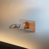 Обнаружен лучший брелок для ключей#3