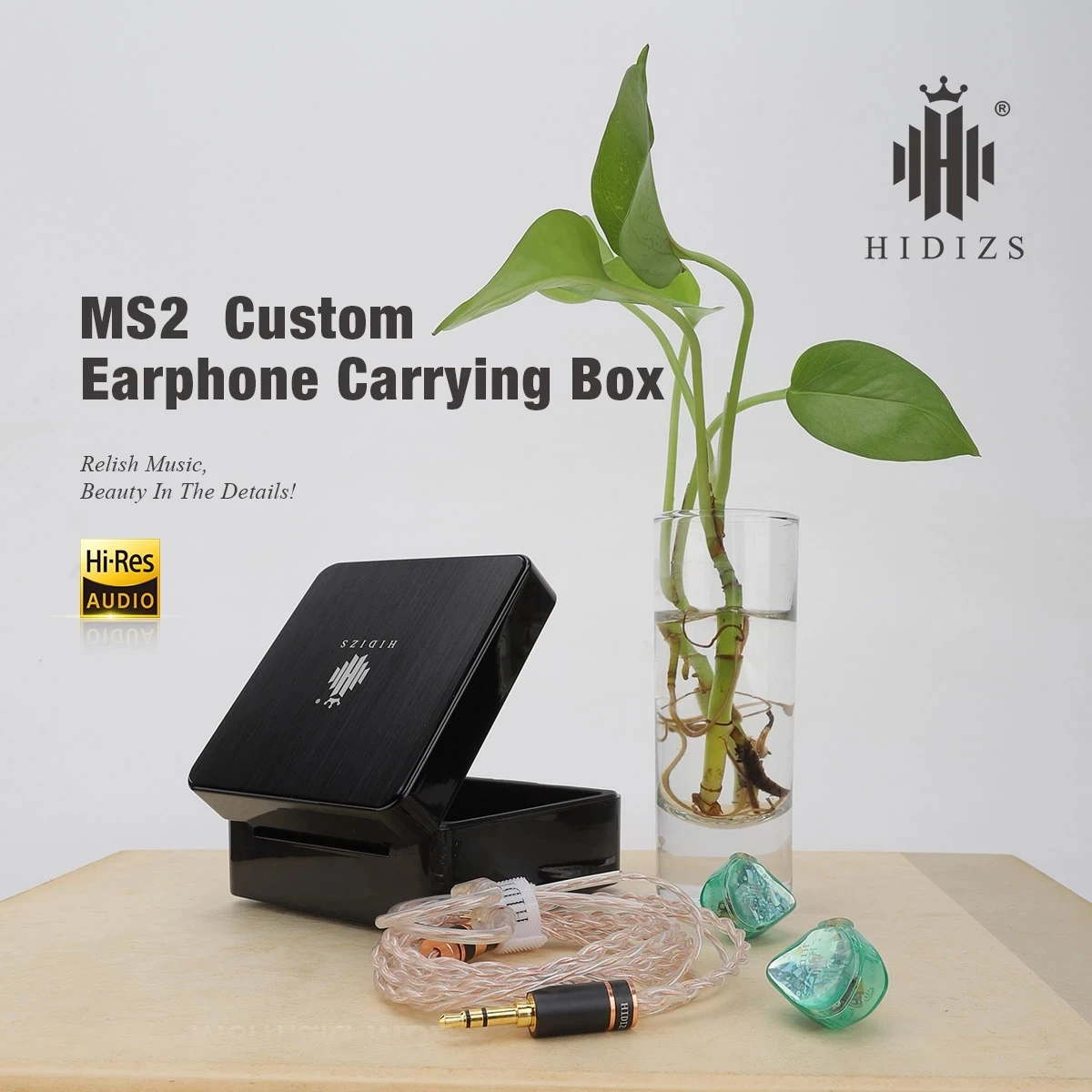 Фото Hidizs MS2 гибридные Двойные драйверы (1 Knowles BA + 1 DD)Hi-Fi In-Ear проводной спортивные Hidizs MS2 гибридные Двойные драйверы (1 Knowles BA + 1 DD)Hi-Fi In-Ear проводной спортивные