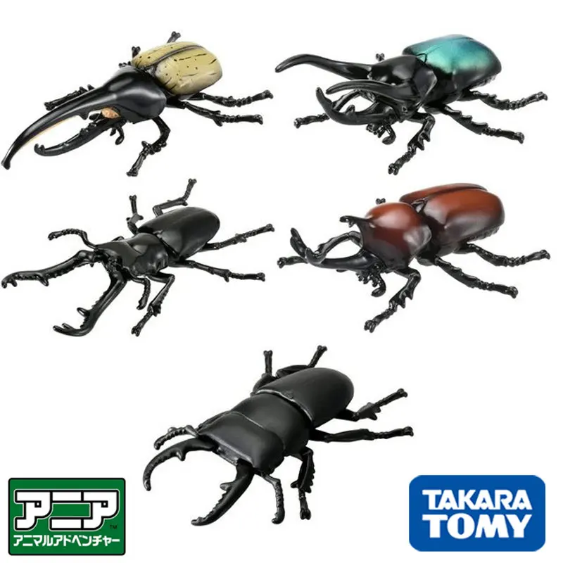 

Японская версия аналии TAKARATOMY AS-37, жук, животное, насекомое, модель, детские игрушки, праздничный подарок на день рождения