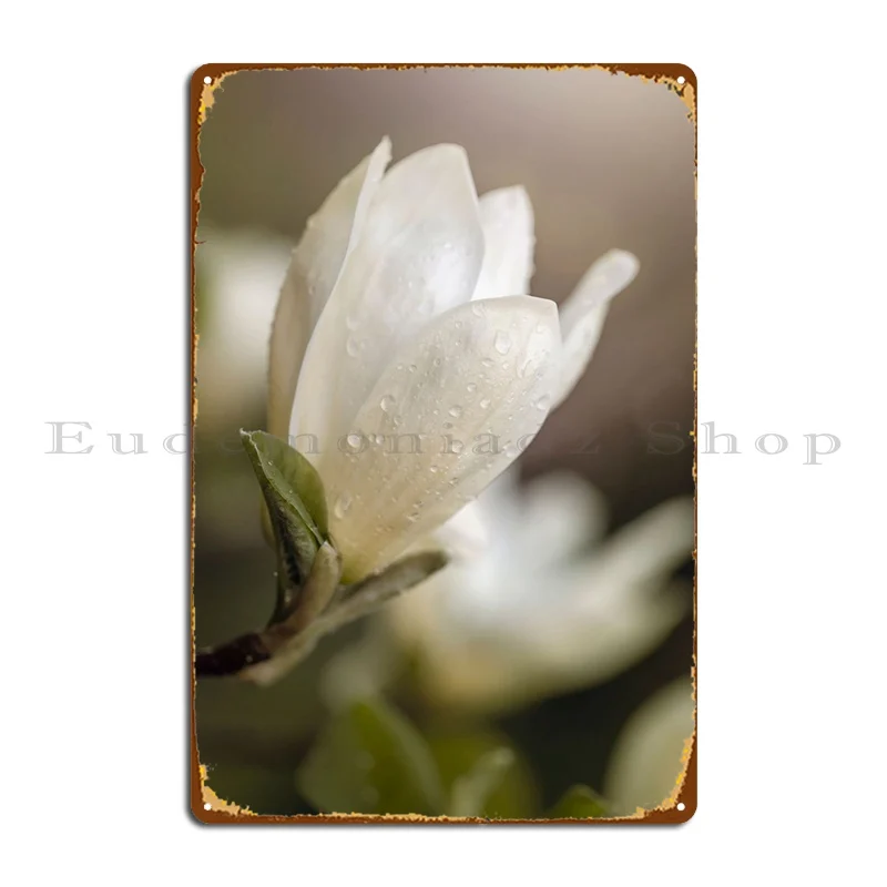 

Белый цветок магнолии металлический плакат дизайн кинотеатра Настенный декор под заказ Классический жестяной плакат