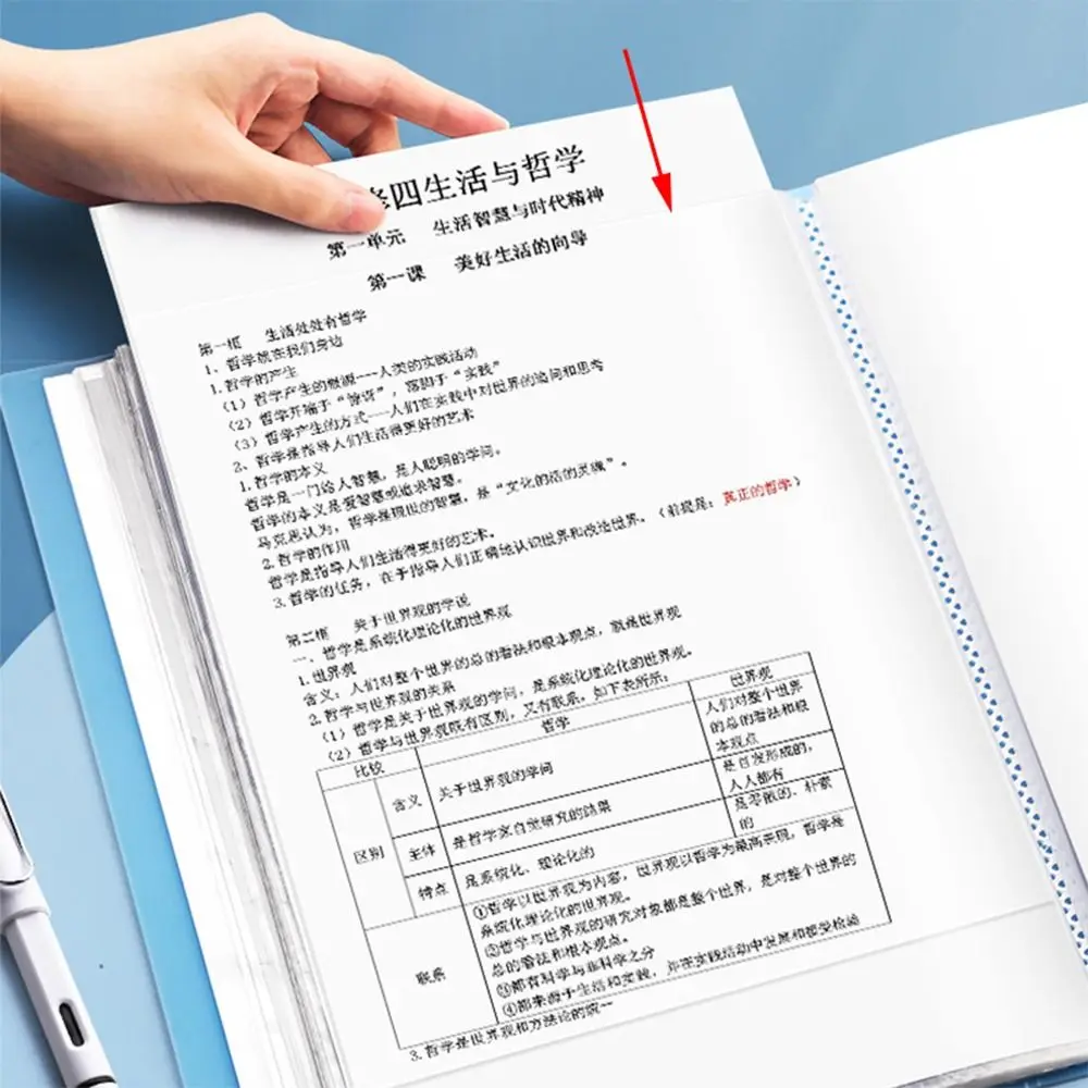 Мультипликационная папка для хранения на 20/30/60/100 страниц Большая вместительная