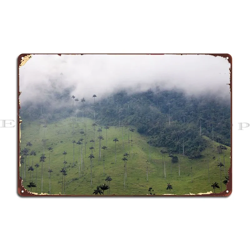 

Металлический плакат coкора 5 дюймов, фотообои для фотосъемки, фотообои, плакат