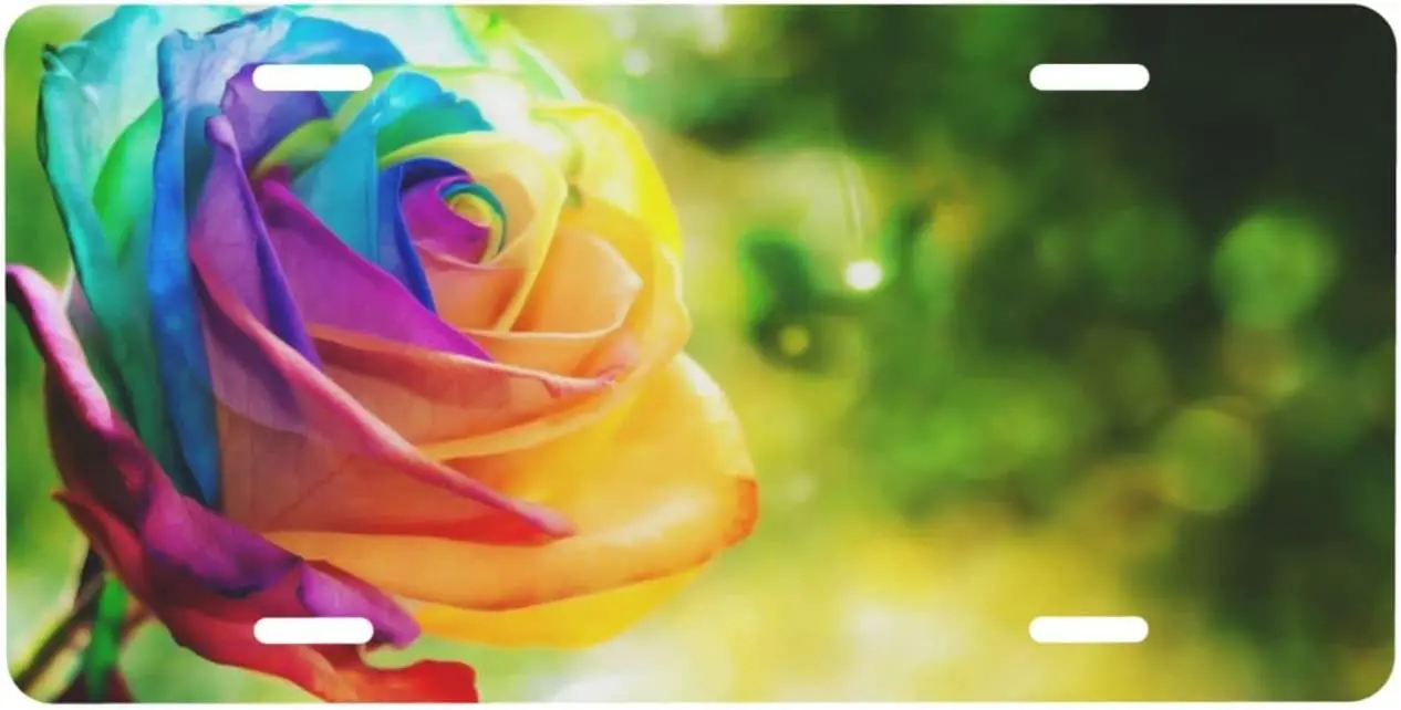 

Personalized License Plate,Colorful Rainbow Rose Aluminum License Plate for Car Easy Mounting Indoor/Outdoor 6 X 12 Inch