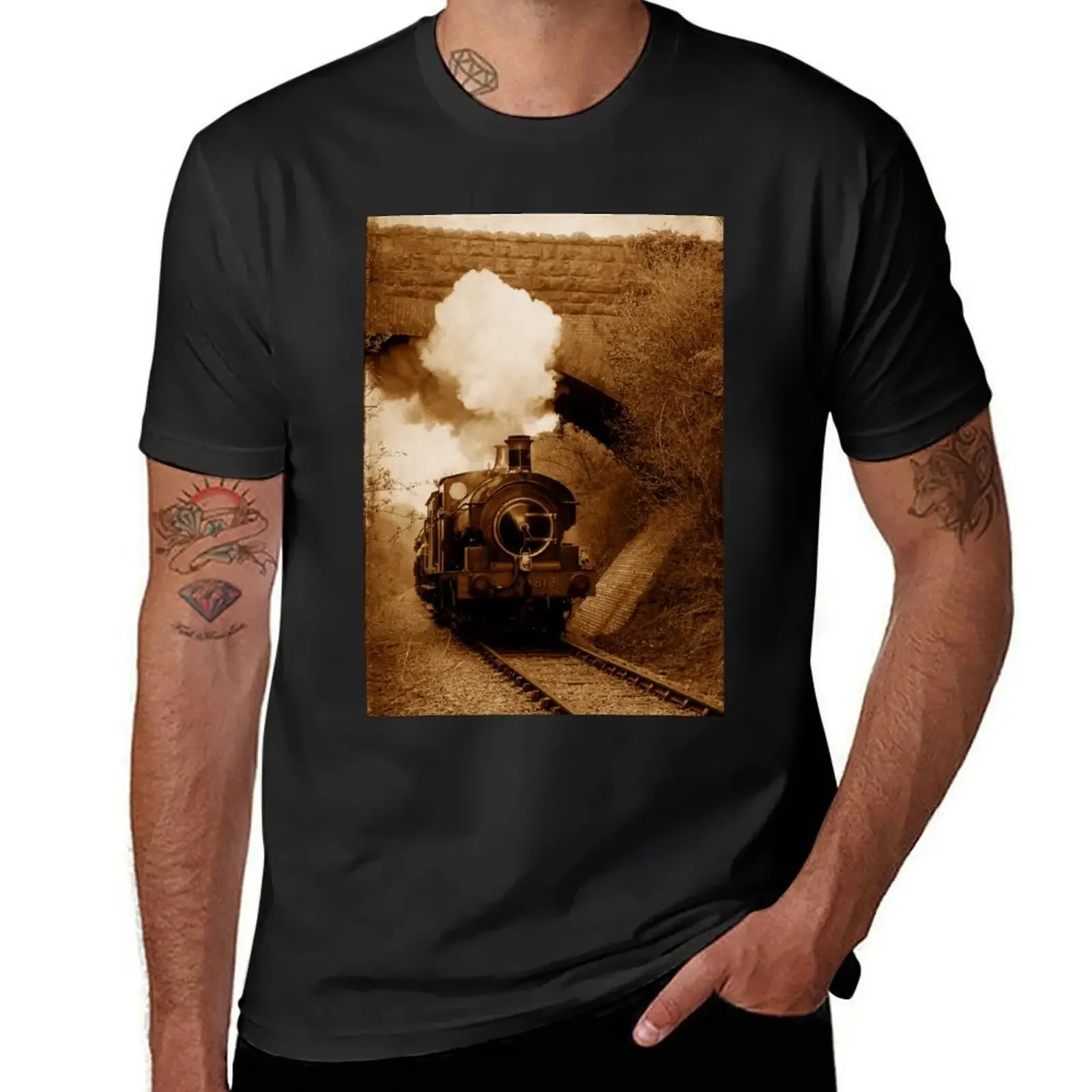 Паровоз входит под мост Shepton Mallet Somerset UK Футболки с рисунком футболки мужские