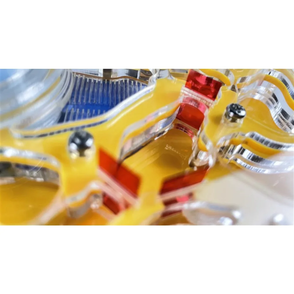 Акриловое гнездо для муравьев заменяет мастерскую муравьи Vivarium студенческая