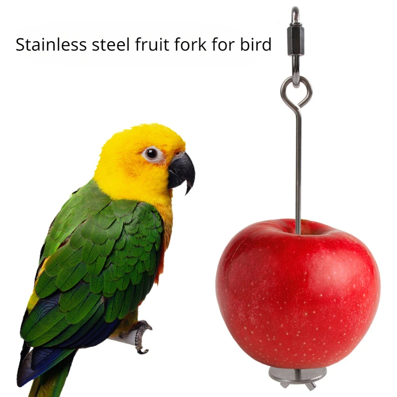 Pet Parrot Accessories