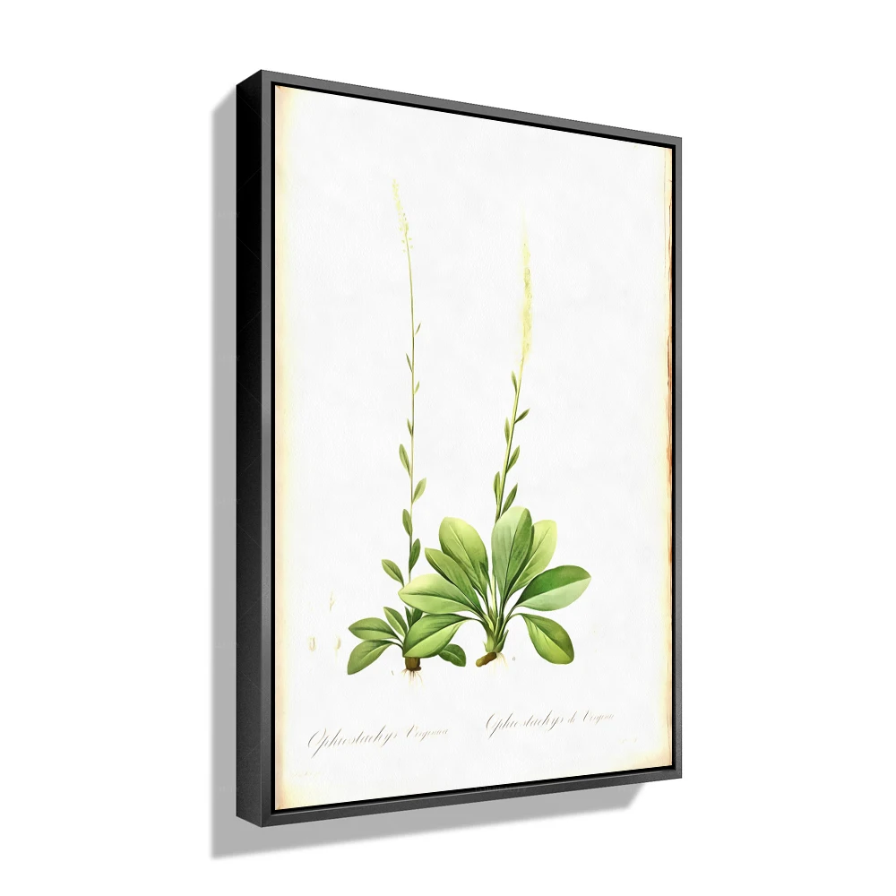 

Абстрактная и зеленая картина маслом от ForBeauty