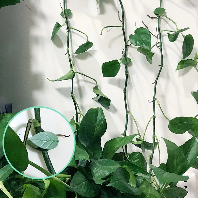 

10Pcs/Pack Plastic Vines Hook Fixing Snap Self-Adhesive Garden Accessories Multipurpose Climbing Wall Clips Plant Supplies