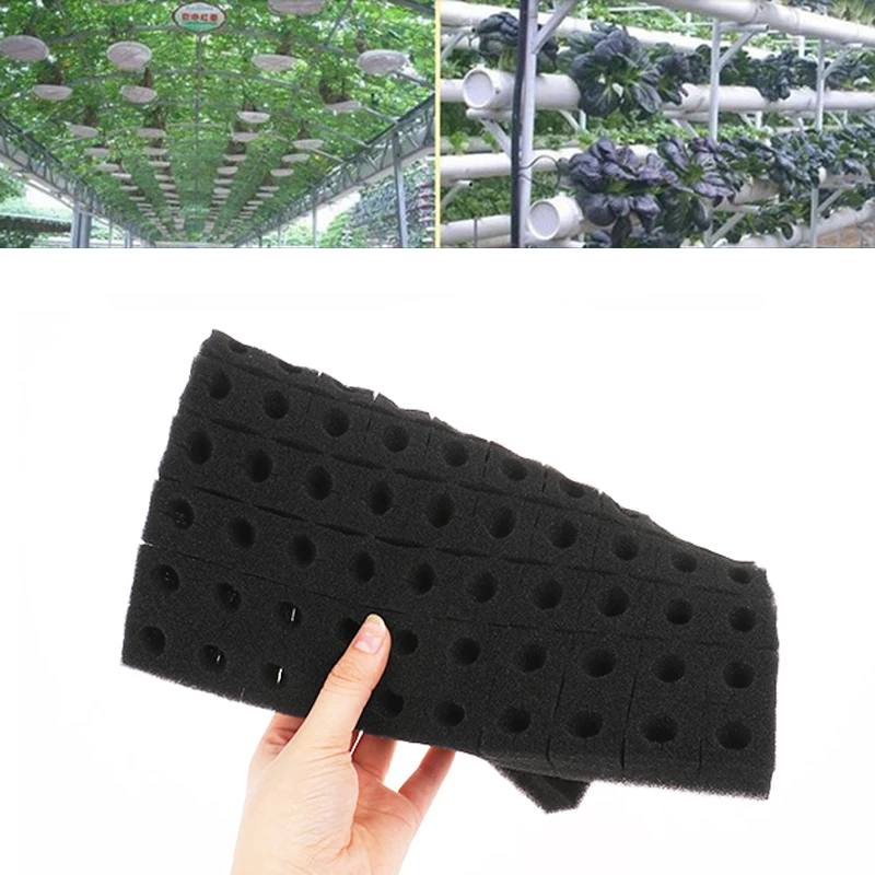 

1Pc 100 Holes Water Cultivation Square Seedling Sponge Colonization Root Fixing Device Soilless Cultivation Sponge Block