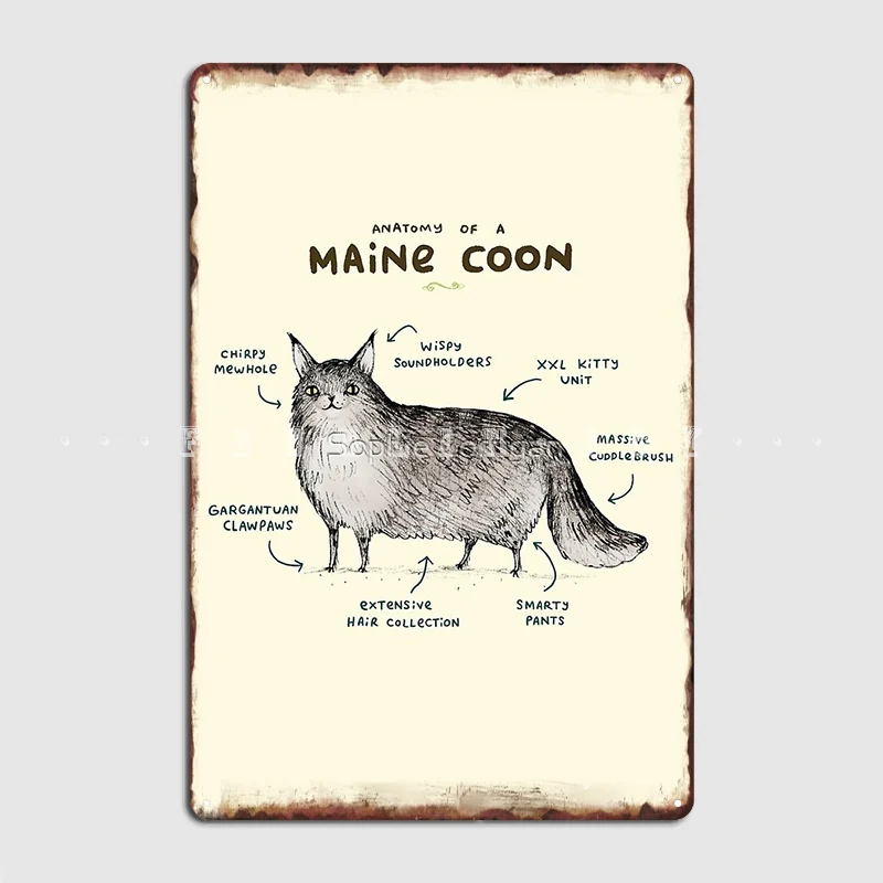 

Anatomy Of A Maine Coon Poster Metal Plaque Club Club Bar Plaques Designing Tin Sign Poster