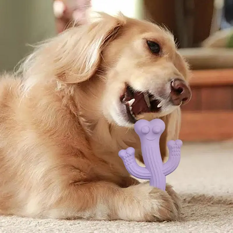 Кактус щенок жевательная игрушка кактус для собак ультра прочная интерактивные