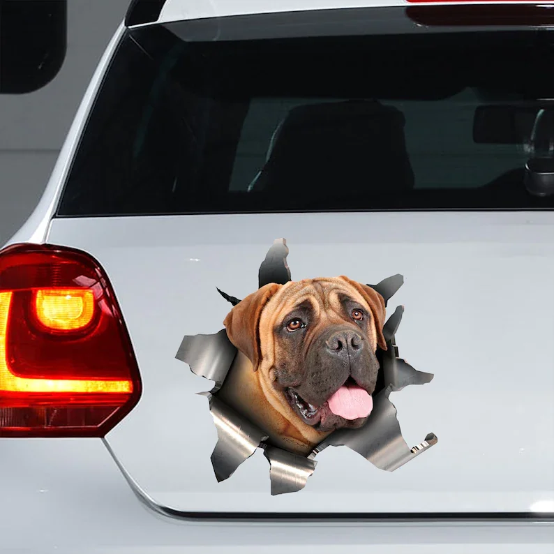 

Bullmastiff car sticker, Bullmastiff decal, Bullmastiff magnet