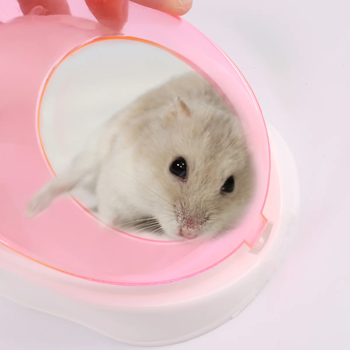 Будиночок для ванной комнаты из песка маленьких домашних животных шиншиллы