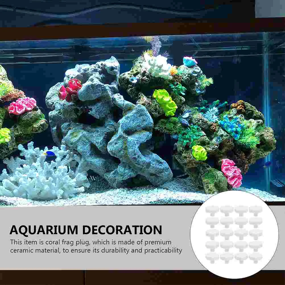 3-х шт. коралловая основа для аквариума подставка клей украшение принадлежности
