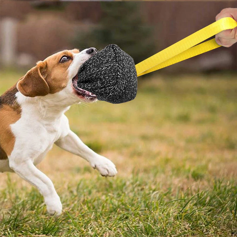 For Agility Equipment