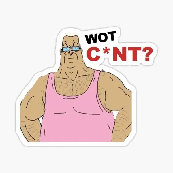 Wot C Nt Big Lez 5 шт. наклейки для художественного бампера фон 5 шт. наклейки мультфильм для ноутбука детские милые украшения с принтом забавные Living R (art.: 3920d33f315dc) - 3920d33f315dc