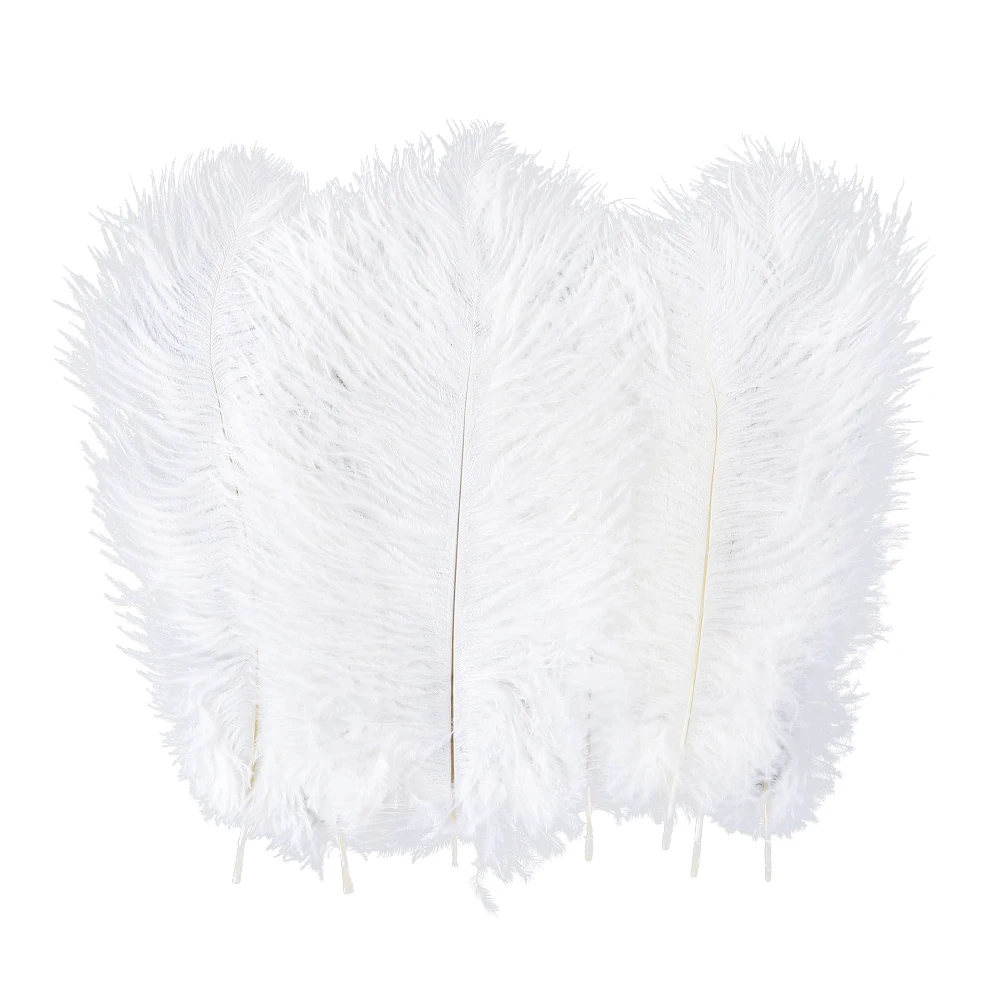 

10 PCS Natural Ostrich Feather White Black Real Plume for Wedding Accessories Decoration Vases Crafts Holiday Party