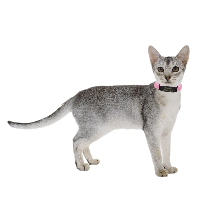 Именная табличка на заказ ошейник для кошек колокольчик с персонализированной