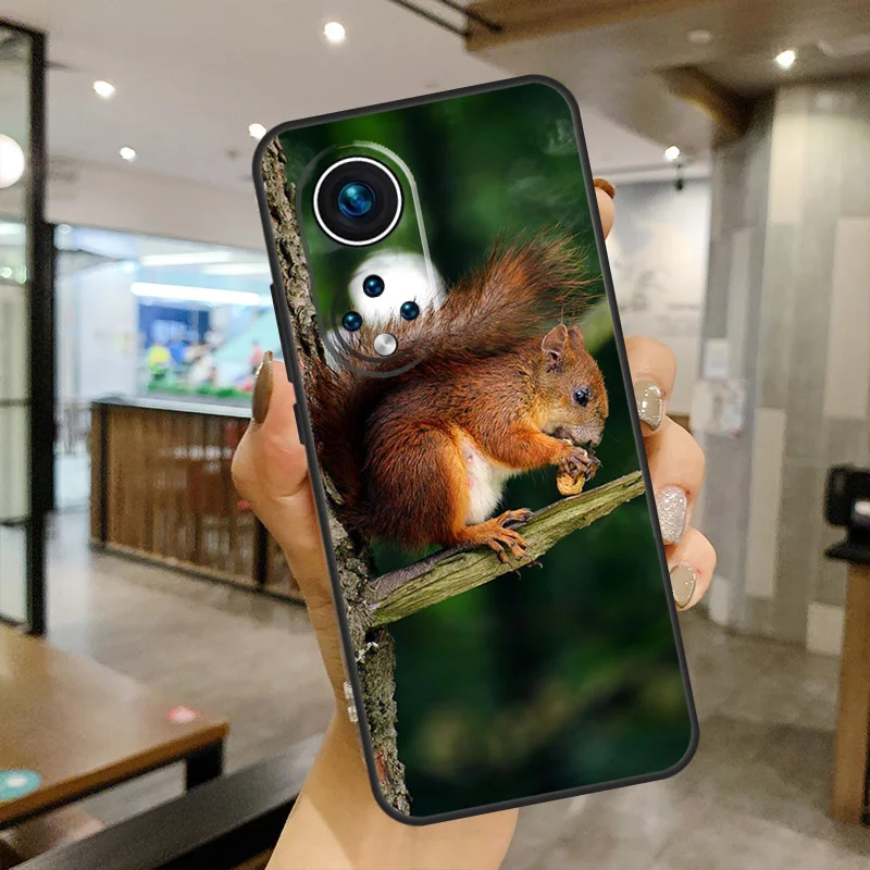 Чехол-накладка с белкой для Huawei Honor 50 Lite 8X 9X 10i Nova 5T 9 P Smart 2021 P20 P40 P30 Pro |