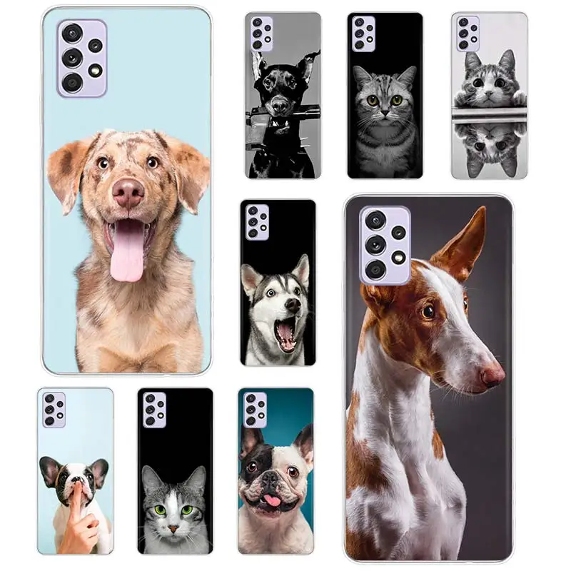 

Case Funda For Samsung Galaxy A52s A52 A73 A51 A71 A72 A12 A22 A32 A02s A21S A31 A41 A11 A01 Animal Dog Cat Cover Coque