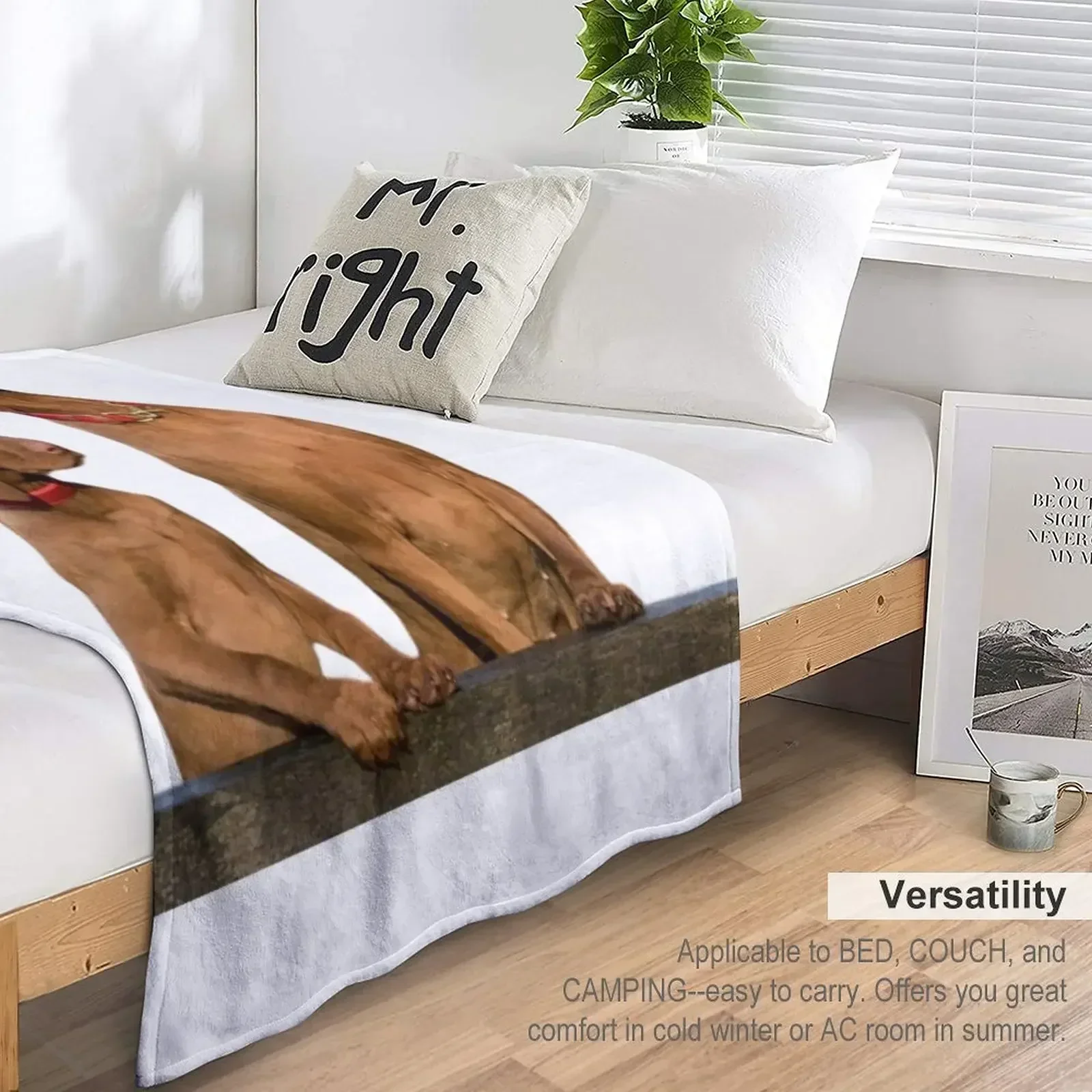 Одеяло Viszla для собак тяжелое одеяло