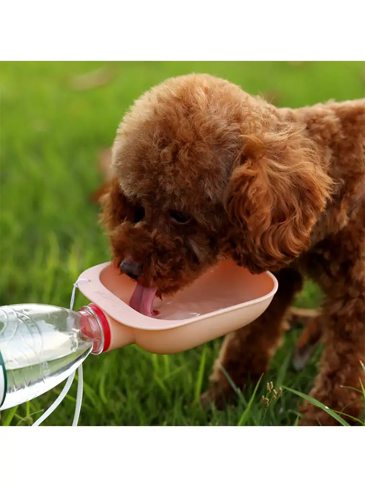 

Pet Feeder Outdoor Drinking Bowl Conveniently Matching Mineral Water Bottle Dog Bowl Pet Feeding Supplies
