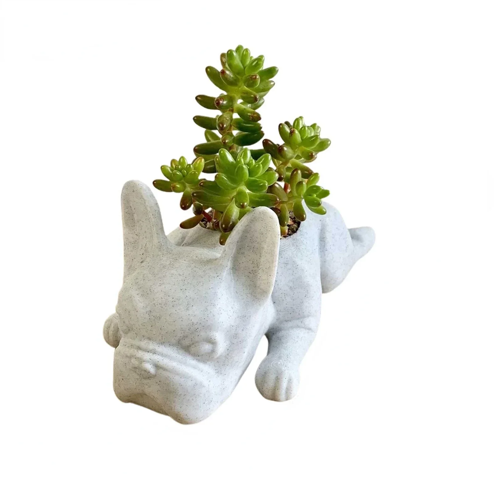 Керамический мини-кашпо для внутреннего использования: милый мультяшный стиль