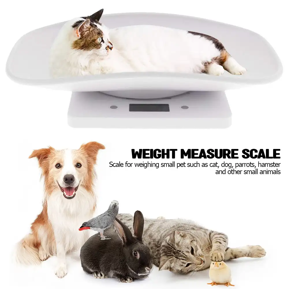 

10KG/1g Weight Scale for Small Pets Dog Cat Rabbit Precise Pet Scale with Scale Tray Package Scale Practical Home Kitchen Scale