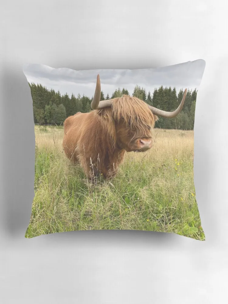 Шотландская корова крупного рогатого скота 2956 декоративная подушка