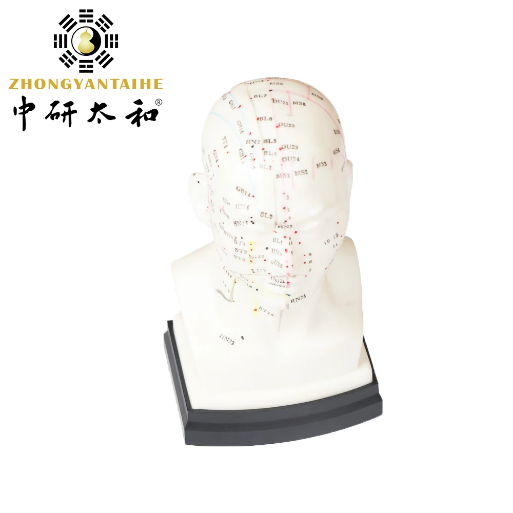 Zhongyan Taihe 1 шт. мягкая ПВХ голова акупунктурная модель акупунктурные иглы для