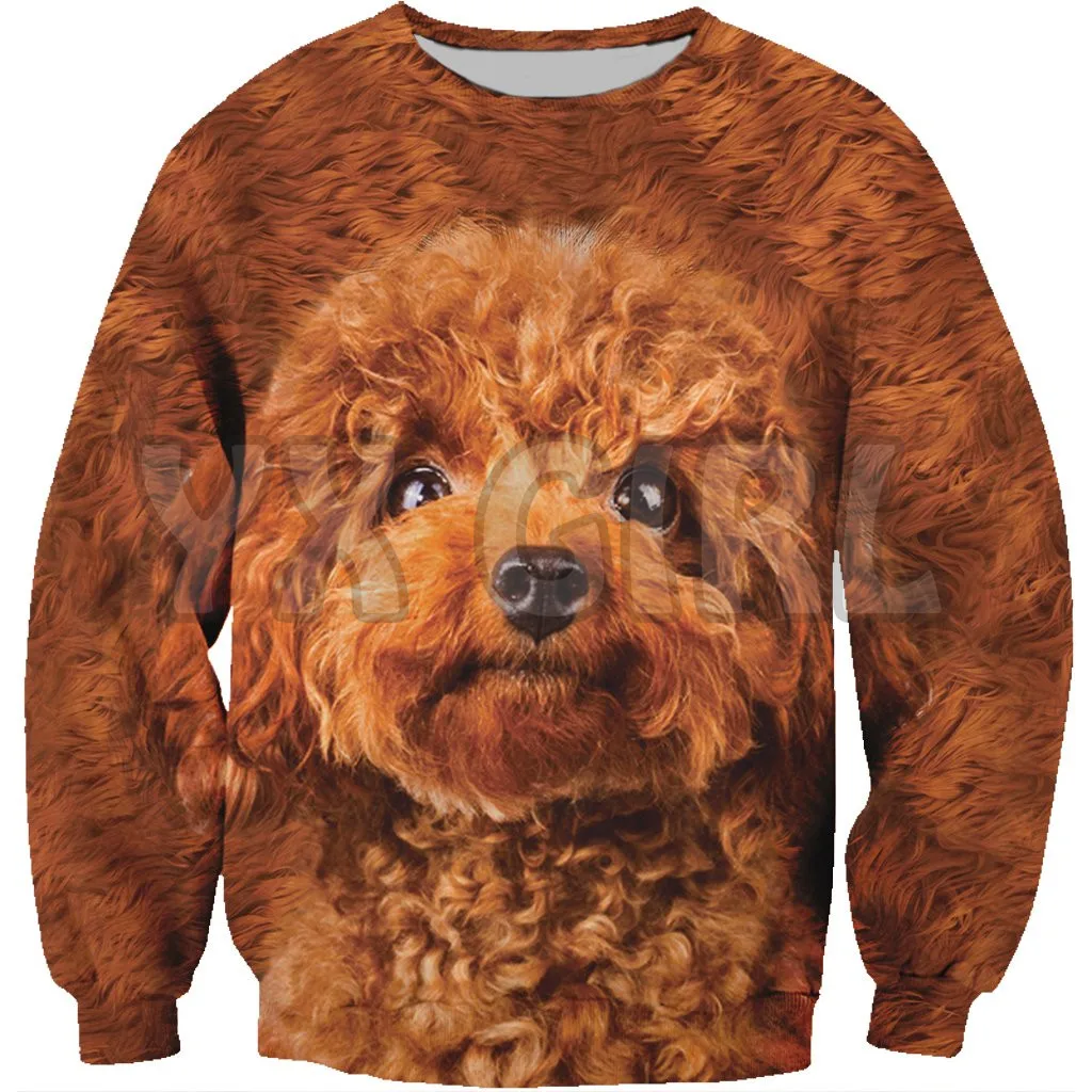 

New Funny Dog Sweatshirt Poodle 3d Printed Sweatshirts Men For Women Pullovers Unisex Tops