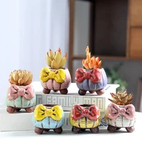 korean cute cartoon bow succulent ceramic flowerpot personality creative small flowerpot breathable painted green flower pot