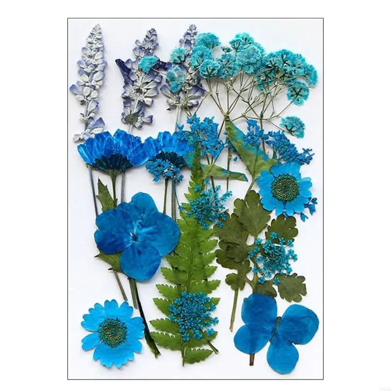 

U0DA 16/18/19/22 шт., прессованные сушеные цветы для смолы, натуральные сухие цветы, листья для художественного ремесла, свечи,