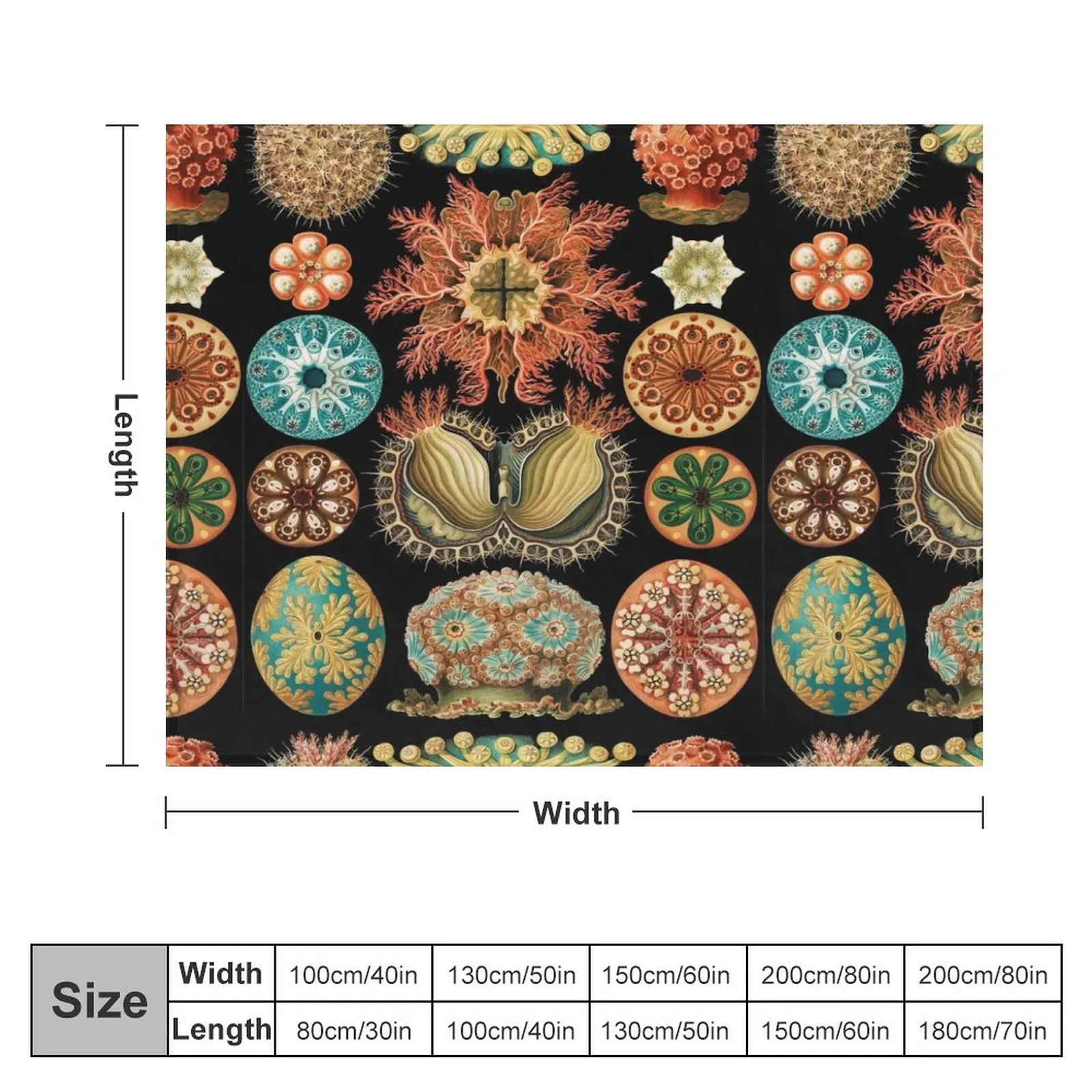 Асцитацея-морские сквирты бросать одеяло модные диваны на заказ Хэллоуин одеяла