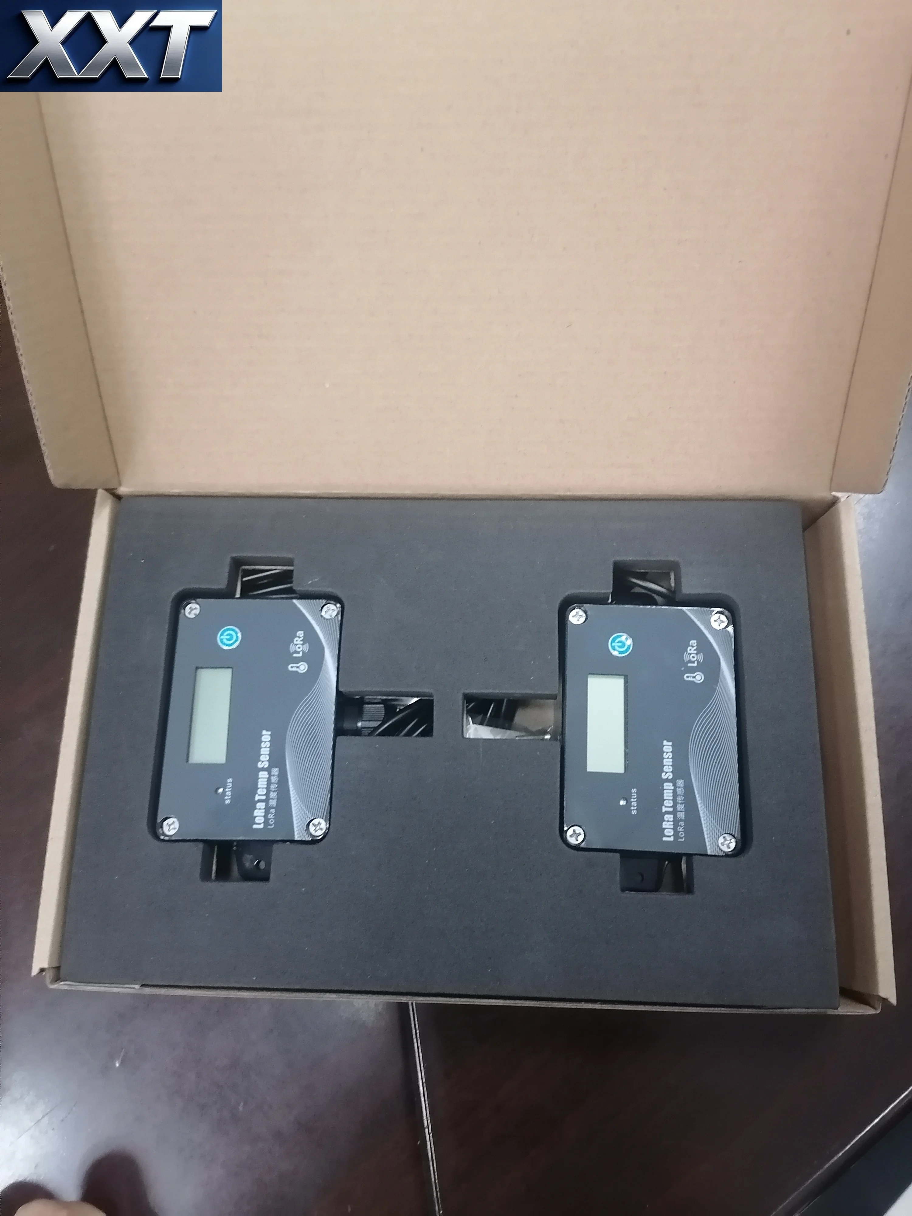 Фото Датчик температуры и влажности XXT Tzone Tag08B Lora, регистратор данных Lora, логгер данных №1