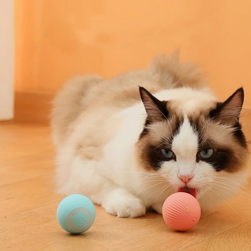 

Умный мяч для кошки, плюшевый мяч, игрушка, Электрический автоматический вращающийся мяч, может случиться, плюшевый мяч, тренировочный интерактивный телефон
