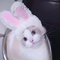 cute rabbit dress cap cat headgear headwear performance props funny pet hat rabbit bunny ears toy cosplay articles for cats