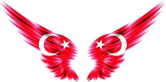 

Moon Star Car Mirror Sticker Bonding