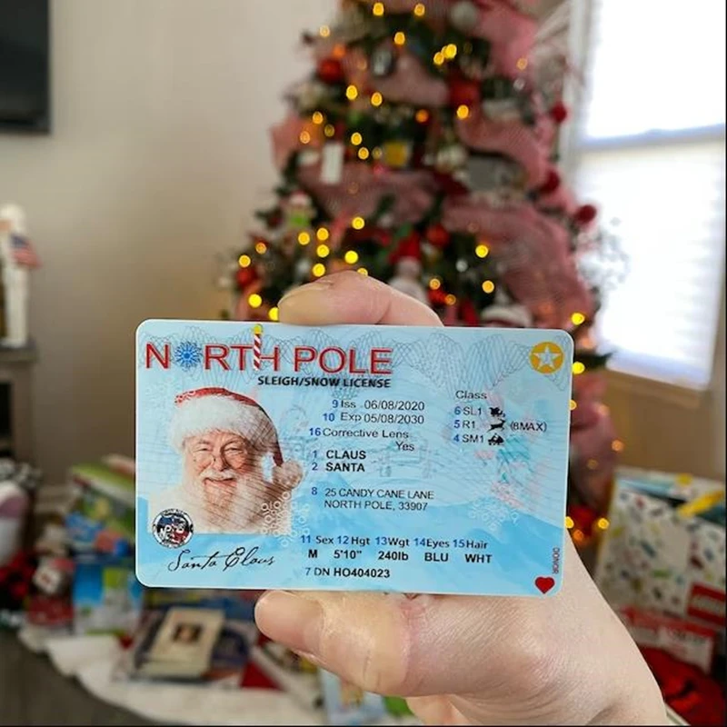 10 шт. детские Сани Для водительских прав