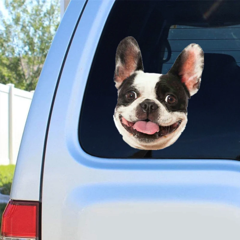 DK210 # 11x14 см французский бык собака автомобильные наклейки забавные креативные