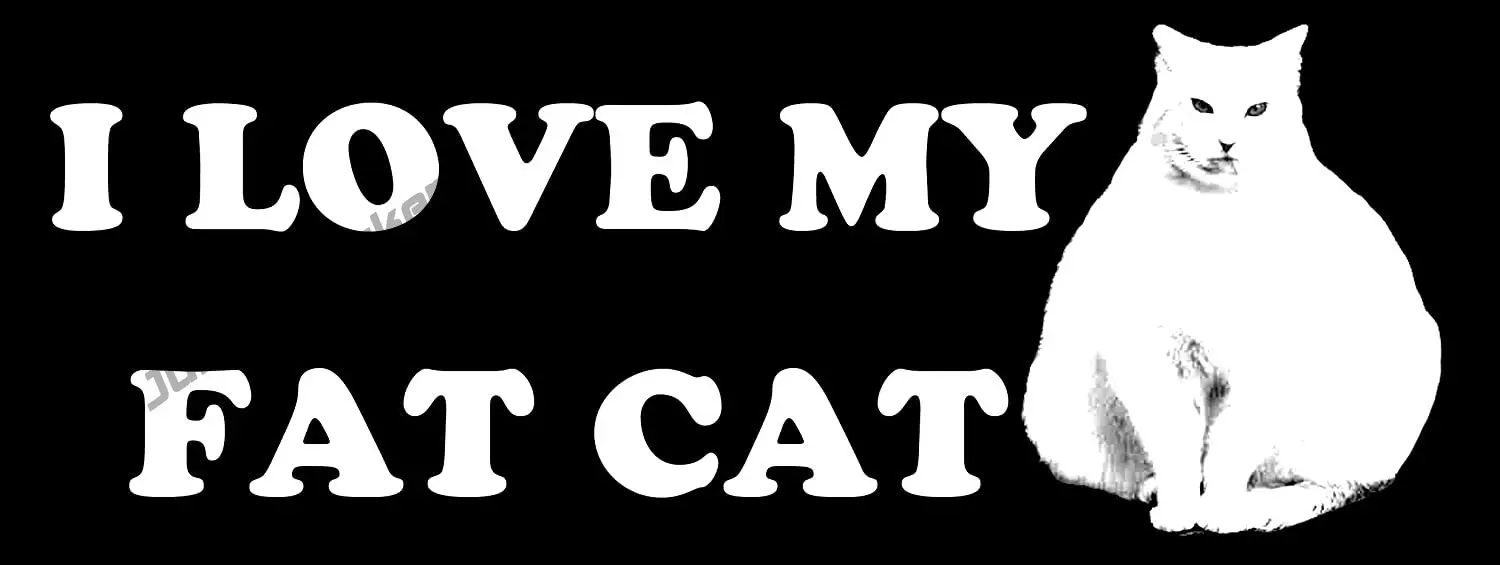 

Car Stickers Funny Cartoon Animals I Heart My Fat Cat Bumper Sticker love Fatcat Decal Rear Windshield Fine Decal Decor Graphic
