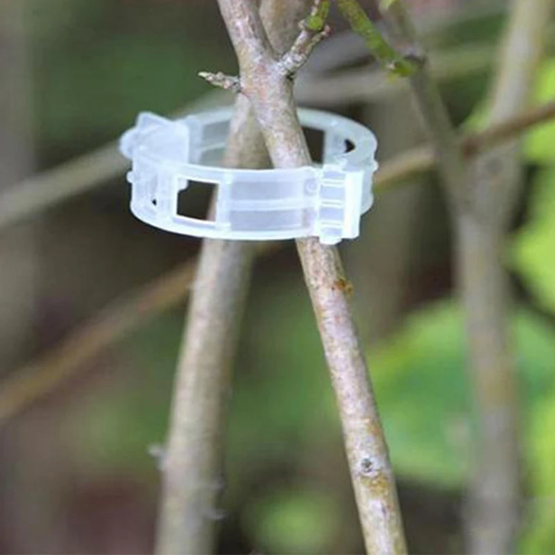 

Plastic Plant Support Clips For Tomato Hanging Trellis Garden Ornaments Twine Greenhouse Vegetables Plant Grafting Clips