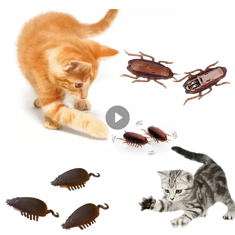 

Cat Toy Battery-Powered Simulation Cockroach & Mouse Toy For Cats Electronic Cockroach Fun Cat Toy Interactive Training Play Toy