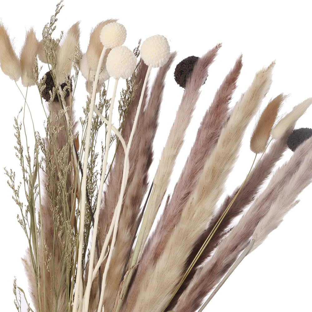 

Natural Dried Bouquets Plant Stems Bunny Tails Pampas Grass Reed DIY Craft Home Decoration Shooting Props Real Flower