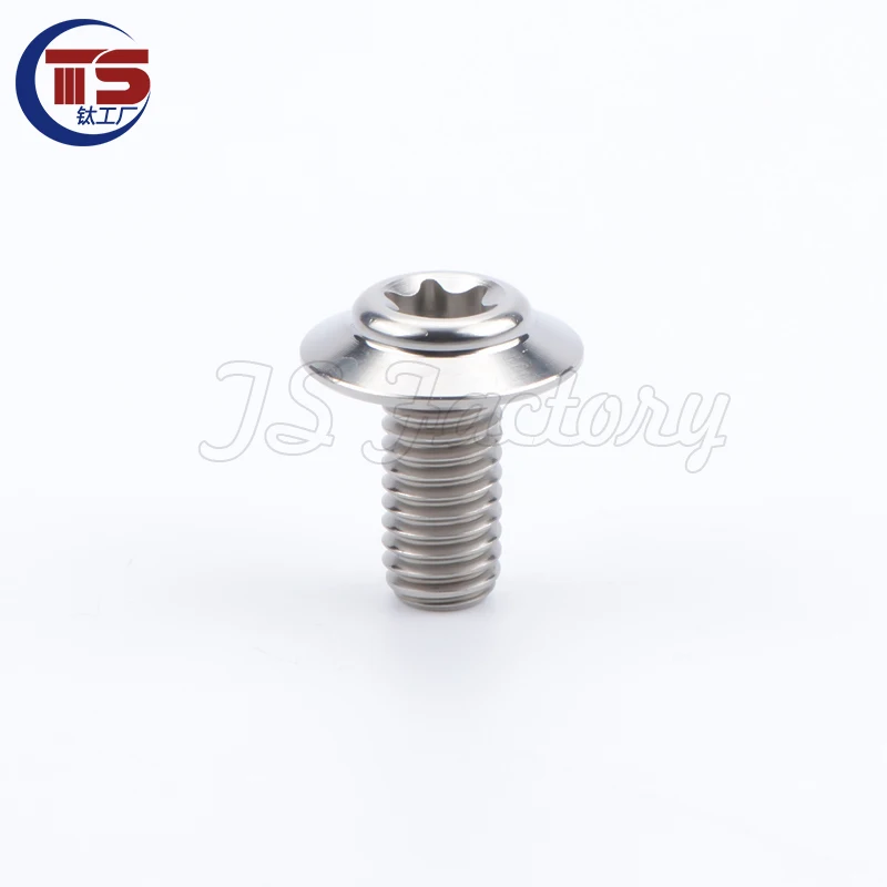 

TS 2 и 10 шт. титановый заводской винт из титанового сплава с головкой зонта M5/M6X10/12/15/20/25/30 мм D13,5 мм электромобиль мотоцикл