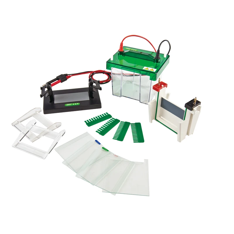 

Mini-Protein Vertical Electrophoresis Cell Gel System for Protein Test