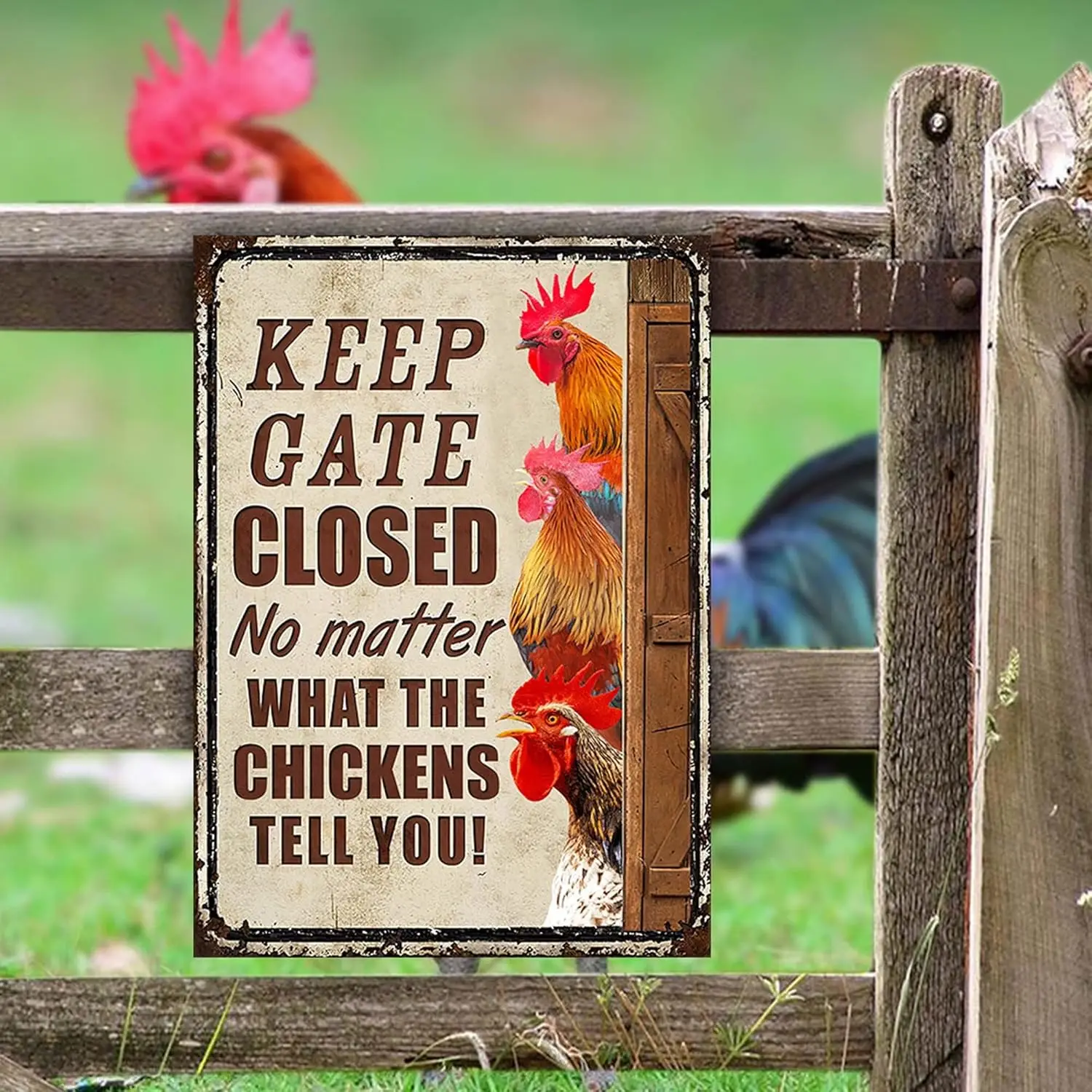 QSPOD Funny Keep Gte Closed No Mtter Wht The Chckens Tell You Metl Sgn Frmer Gft de Decor Frmhouse Wll Decorton rt Плакат 8x