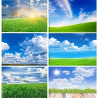 natural landscape photography props green grass and blue sky with white clouds photo background studio props 211223 kkll 01