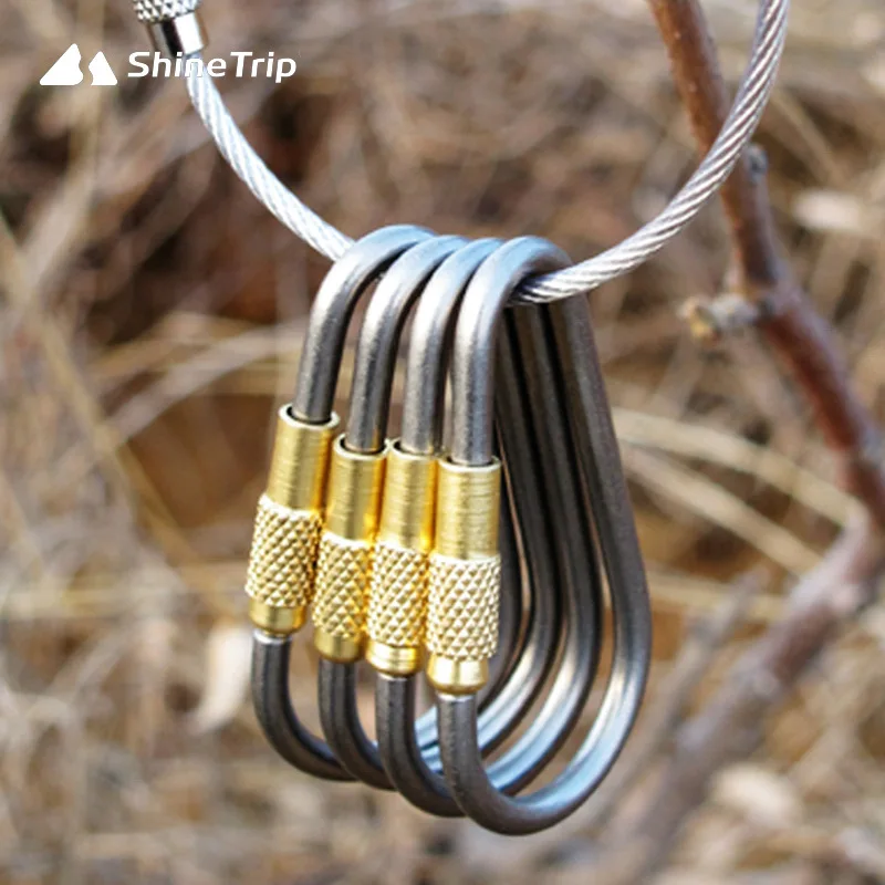 

5pcs Titanium Alloy D Shape Carabiner Screw Lock Bottle Hook Buckle Hanging Padlock Key Chain Outdoor Camping Hiking Mini Tools