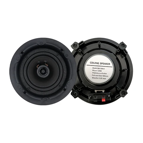 5,25 коаксиальный Высокоточный сабвуфер, Пассивный потолочный динамик полного диапазона, интеллектуальная звуковая система для домашнего фона, музыкального кинотеатра